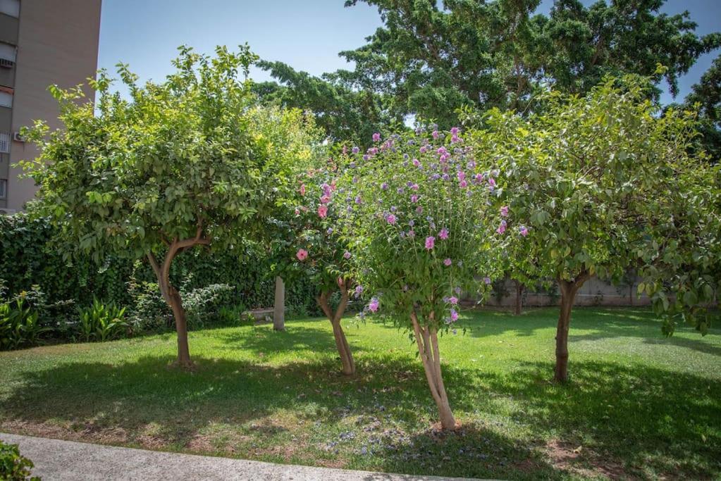 Piso Con Jardin Apartment Malaga Exterior photo